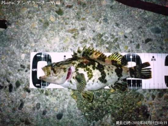 �����Υ���Х�