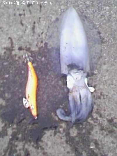 �����ꥤ��