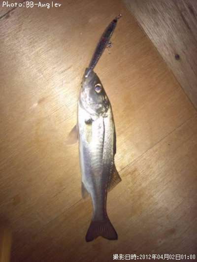 �����Х�