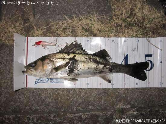 �����Х�