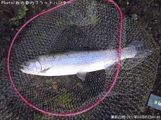 �쥤��ܡ��ȥ饦��