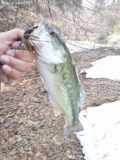 �֥�å��Х�