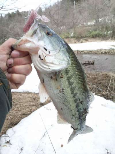 �֥�å��Х�