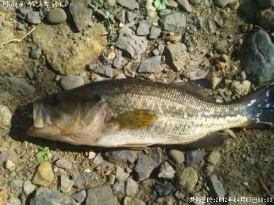 �֥�å��Х�