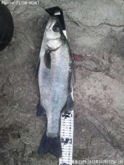 �ҥ饹����