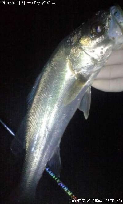 ���ġ�������