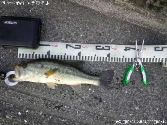 �Х������