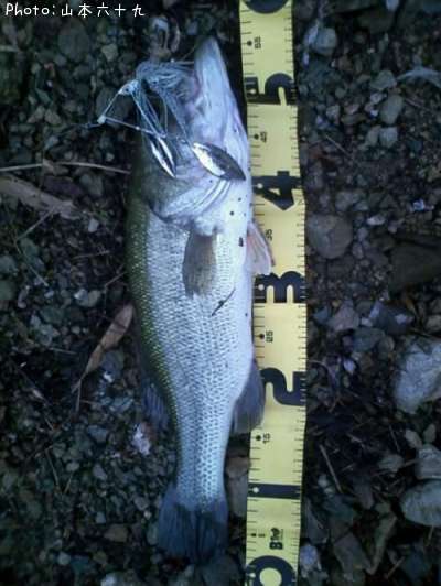 �֥�å��Х�