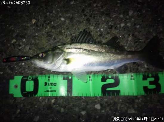 �����Х�