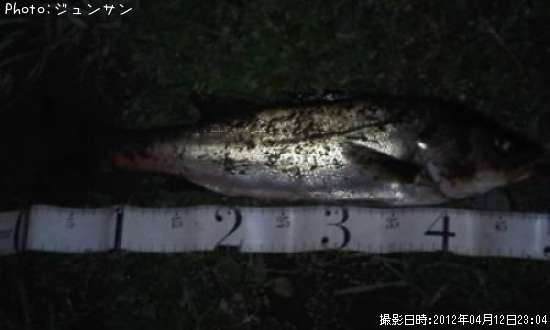 �����Х�