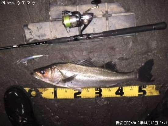 �����Х�