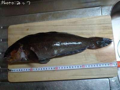 �����ʥ�