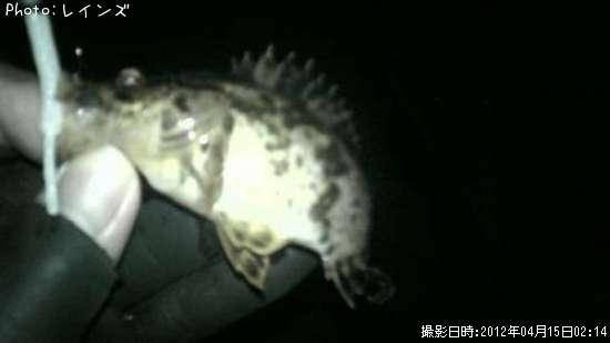 �����Υ�����Х�