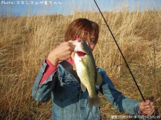 �֥�å��Х�