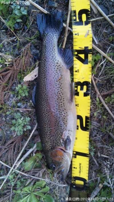 �ɥʥ�ɥ���