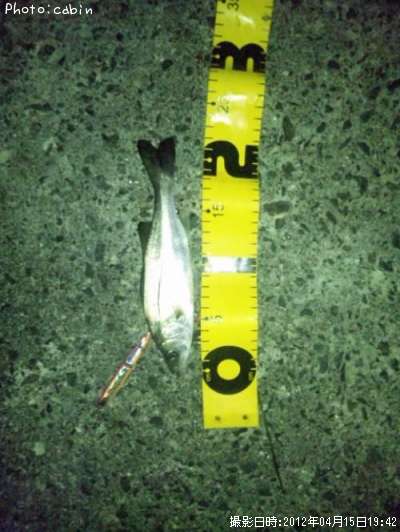 �����Х�