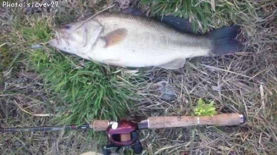 �֥�å��Х�