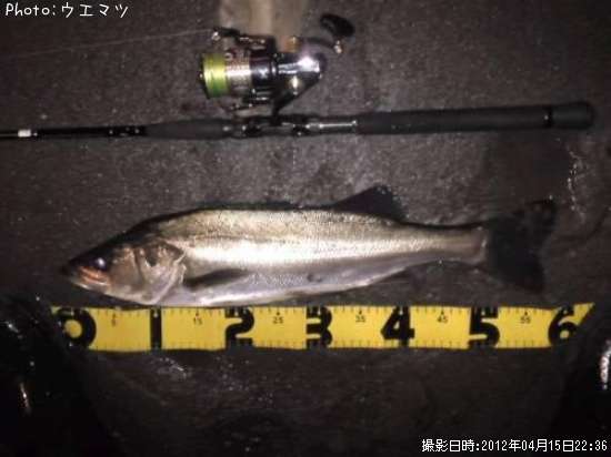 �����Х�