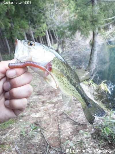 �֥�å��Х�