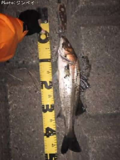 �����Х�