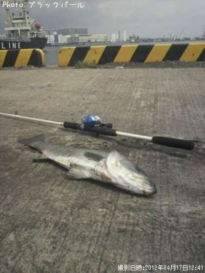 �����Х�