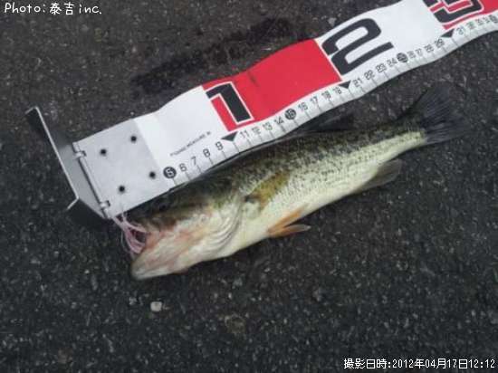 �֥�å��Х�