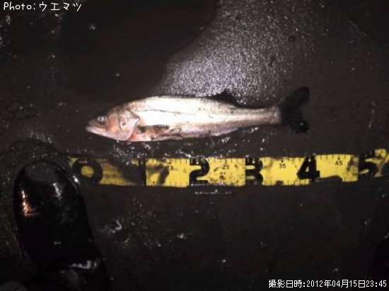 �����Х����