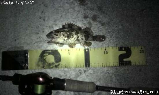 �����Υ���Х�