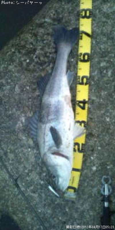 �����Х�