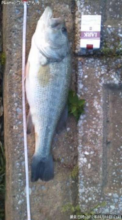 �֥�å��Х�