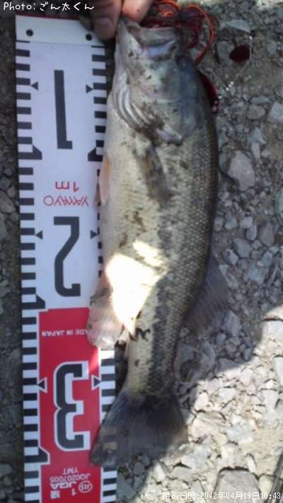 �֥�å��Х�