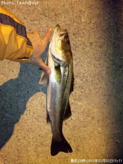 �����Х�