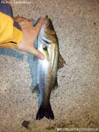 �����Х�