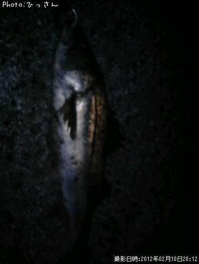 �����Х�