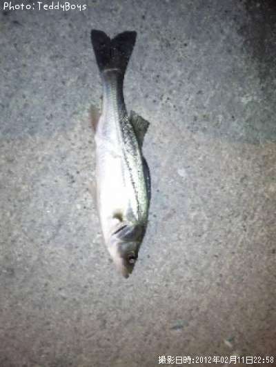 �����Х�