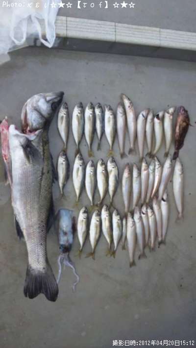 �����Х�