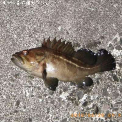 ���ޥ���