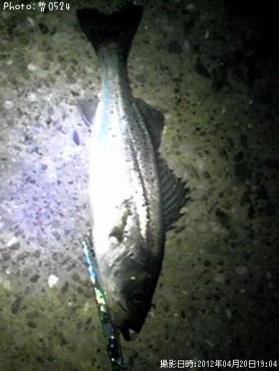 �����Х�