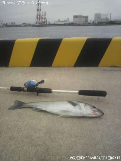 �����Х�