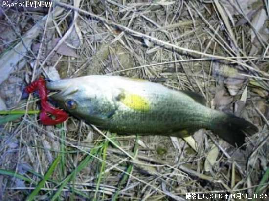 �֥�å��Х�