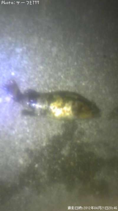 �����Υ���Х�