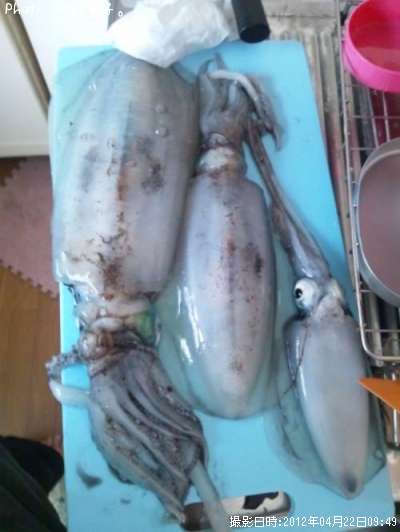 �����ꥤ��