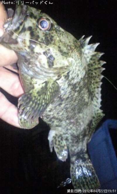 ��������˭