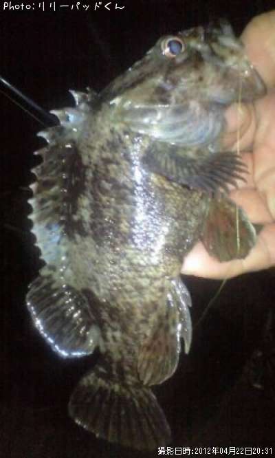 ������л�