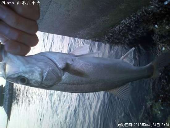 �����Х�