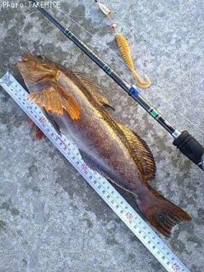 �����ʥ�