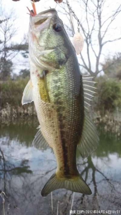 �֥�å��Х�