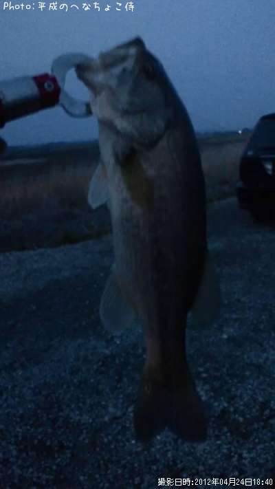 �֥�å��Х�