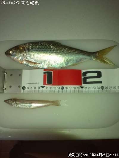 ���Υ���