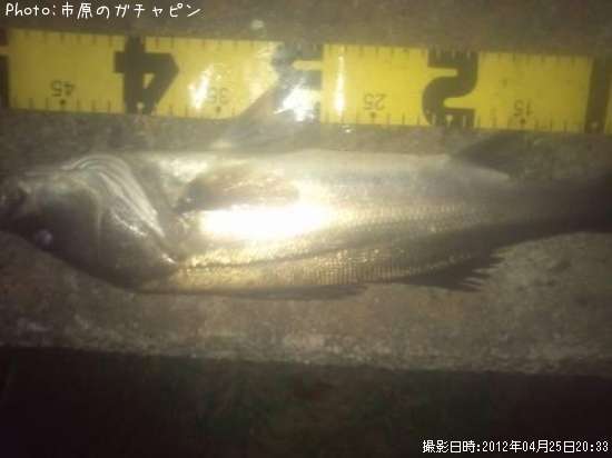 �����Х�